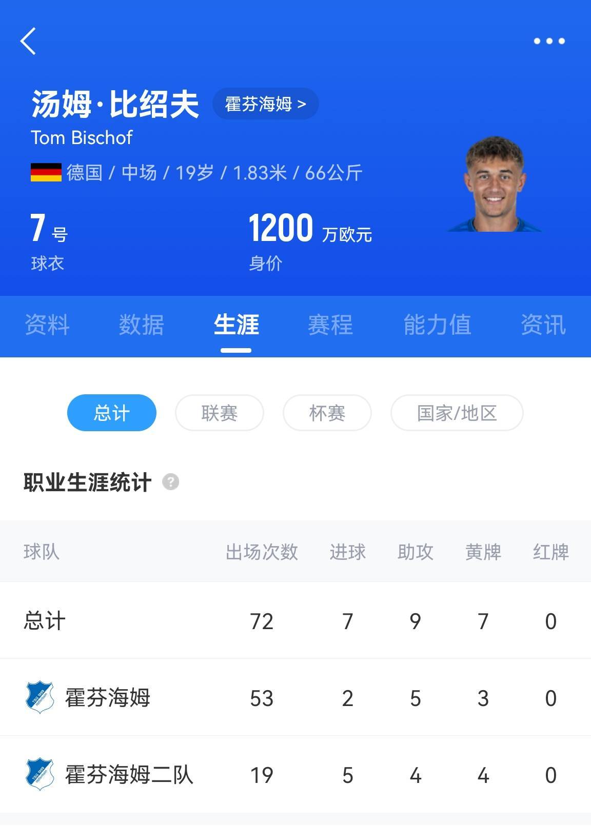 关于霍芬海姆中场火力全开，德甲前途一片光明的信息