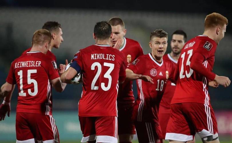 匈牙利队在欧锦赛中将士们功成名就 匈牙利队在欧锦赛中将士们功成名就