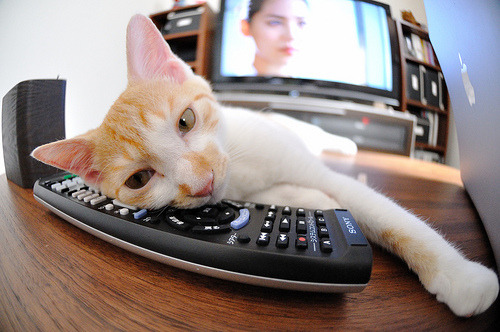 加克波生涯之夜闪耀欧洲，勒沃库森连击压制希腊强敌