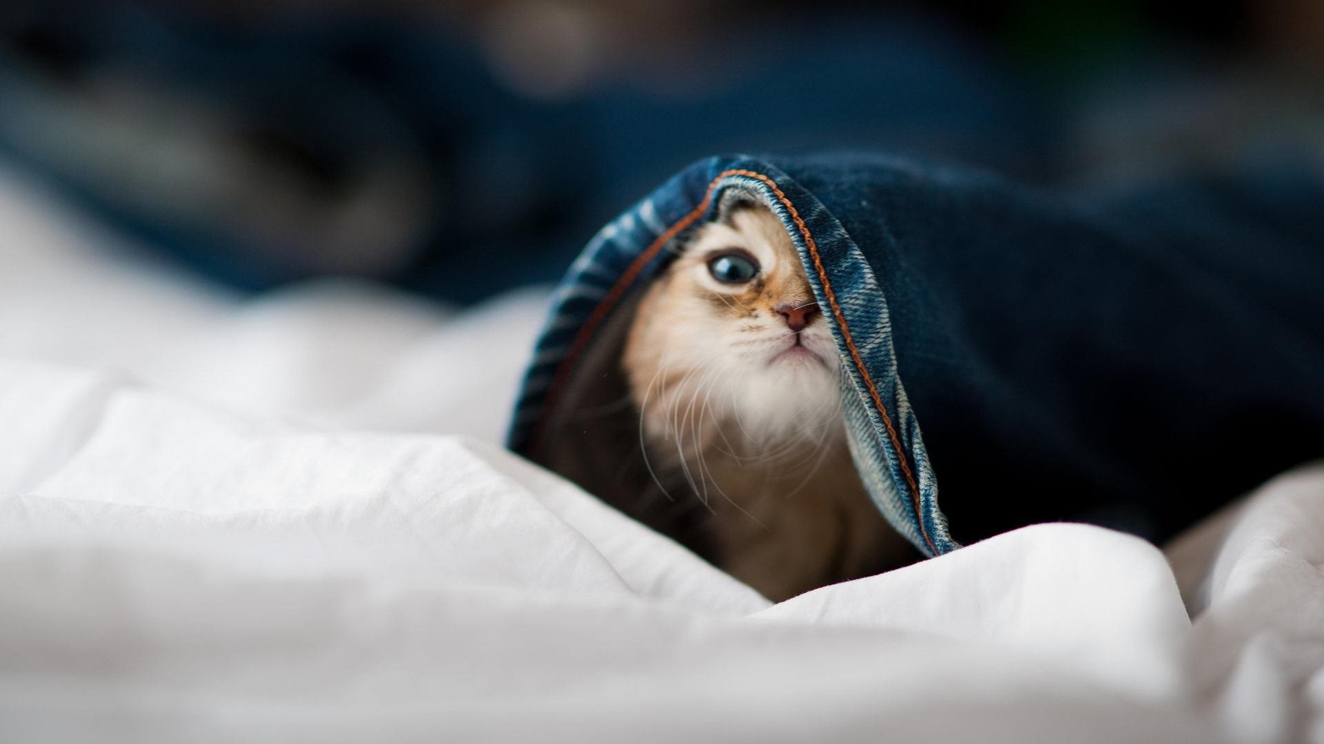 英格兰荣耀，巴西铁腰！卡塞米罗惊世远射击碎宿命