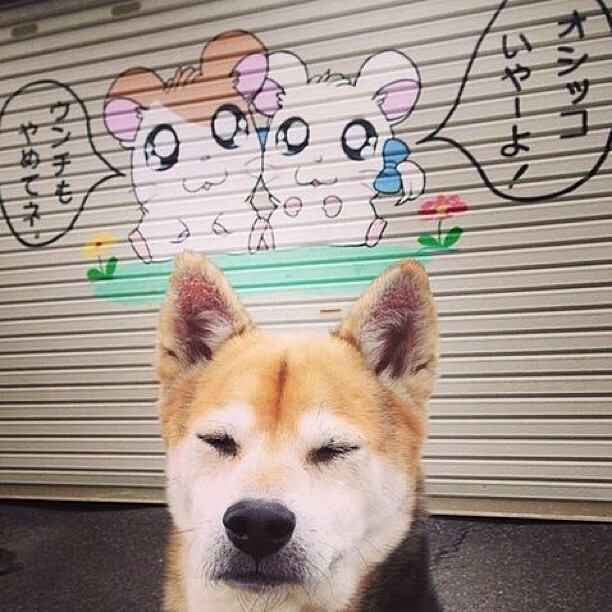 绿茵解剖室,拜仁式高压如何锁死埃及,奥纳纳成防守枢纽