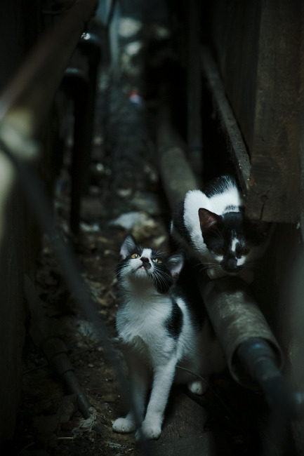 德布劳内爆发,当威尔士以冰封战术封锁摩洛哥,我们看到了足球的两种真相