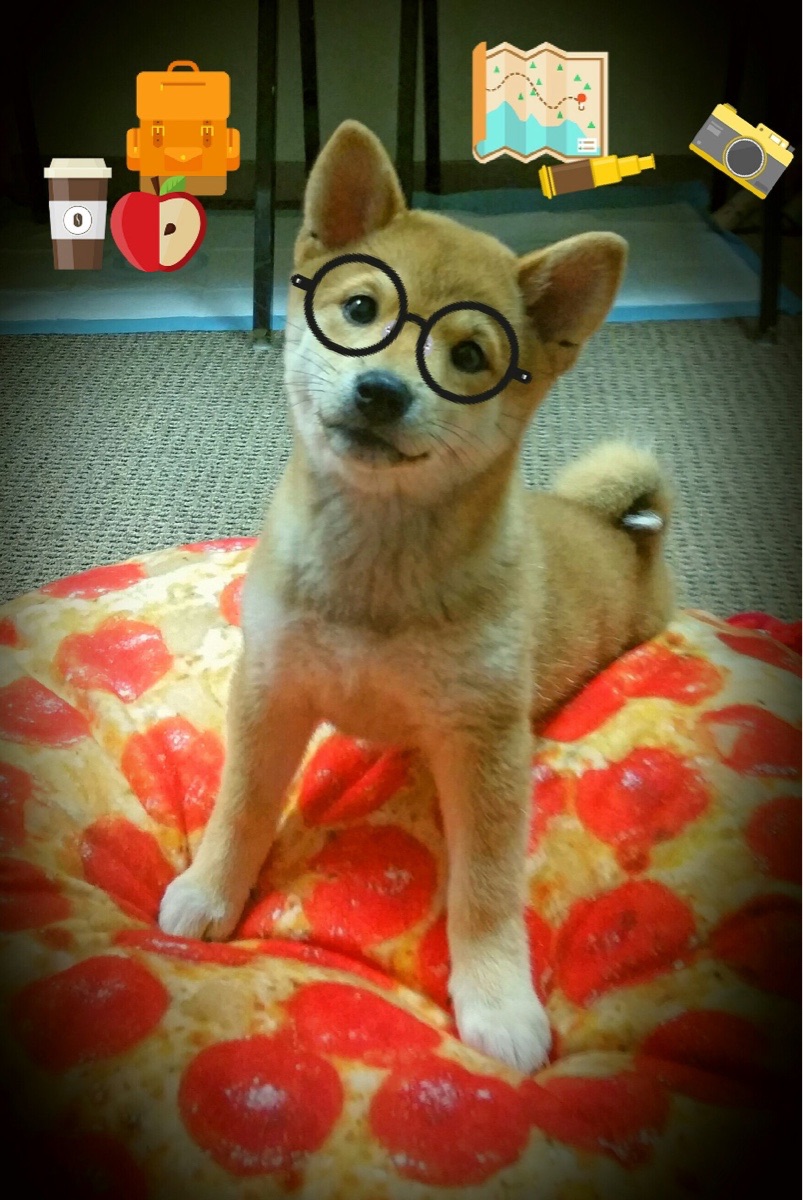 韩国对阵巴西，贝林厄姆关键战不手软，金与桑巴的博弈，冷静铸就传奇