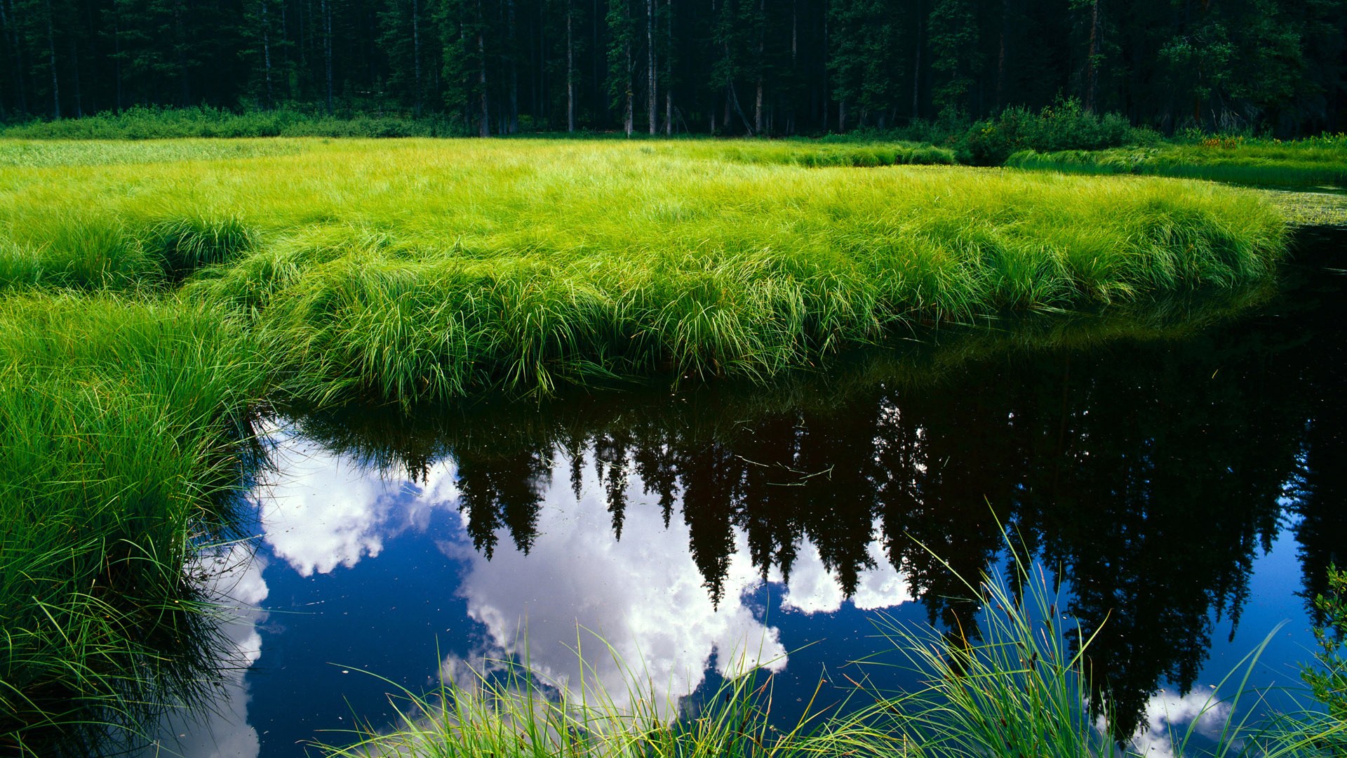 希腊完胜新西兰，萨内化身关键先生闪耀全场