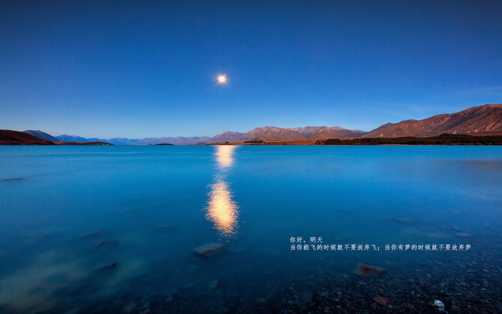 灰熊摧枯拉朽击溃森林狼，塔图姆末节封神诠释关键先生