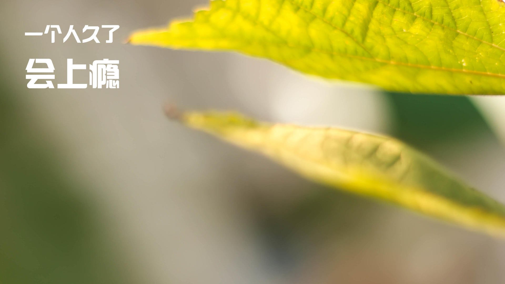 亚平宁变天夜！紫百合打穿老妇人，门迪一战封神改写意甲格局