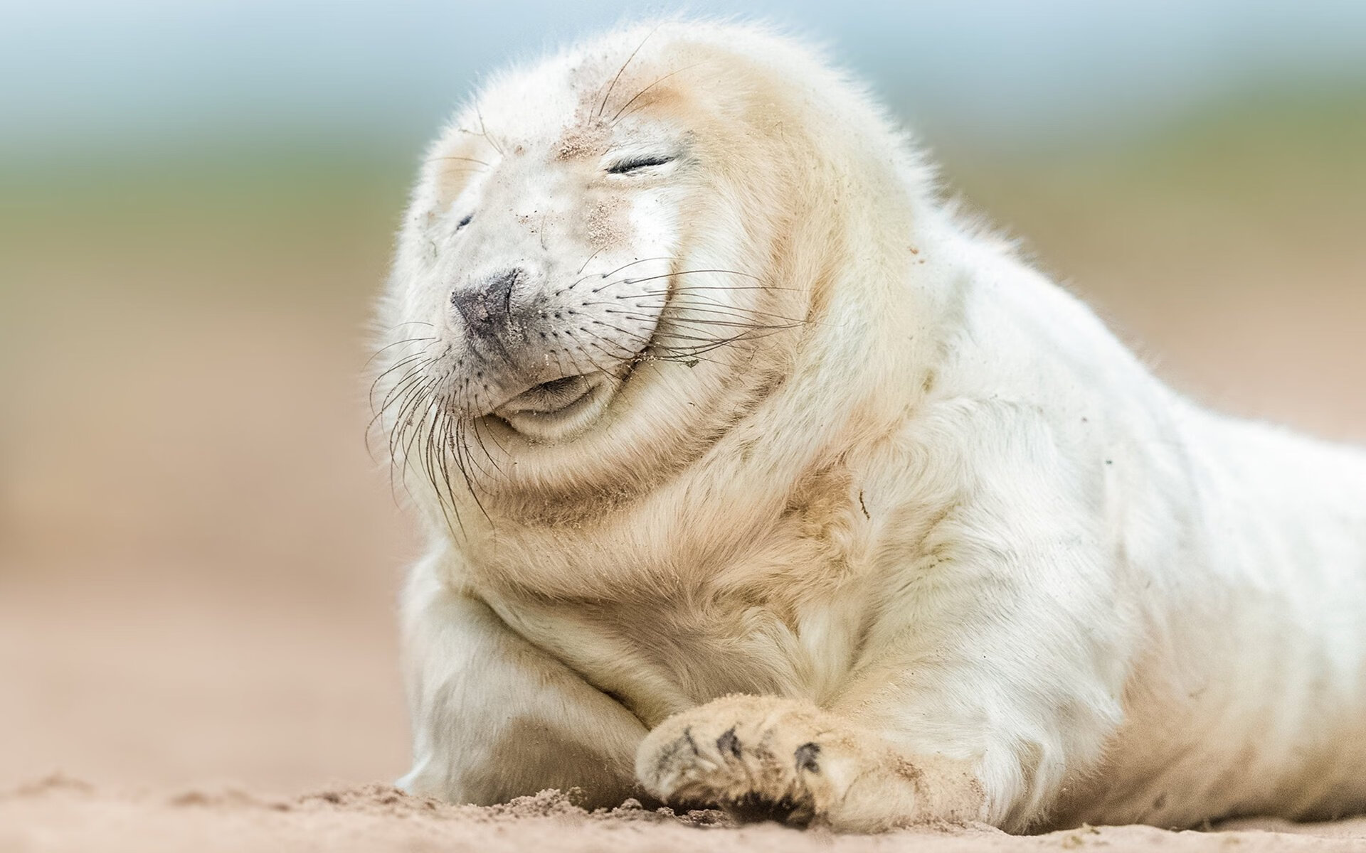 历史的密码,当苏亚雷斯的纪录与哥伦比亚的铁骑相遇