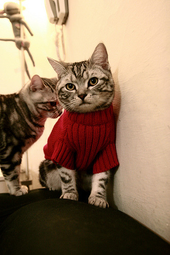 福登闪耀！三狮军团力克挪威，小组赛关键一战定乾坤