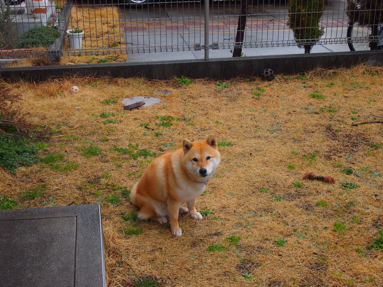 叹息之墙！库尔图瓦让比赛提前失去悬念，巴西强势拿下哥伦比亚