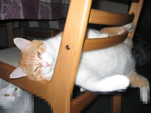 库里三分雨淹没CBA劲旅，爵士轻取深圳诠释篮球鸿沟