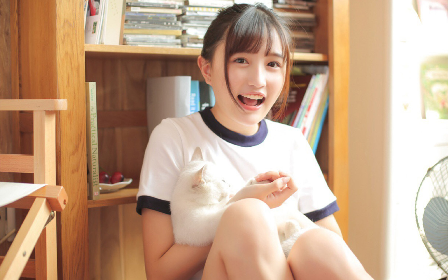 强势征服与关键接管，尼斯足球凯歌与拉亚篮球独秀的体育史诗