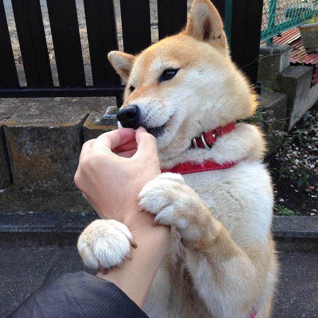 魔术师与死神，团队火力压制掘金，德罗赞赛后评分拉满