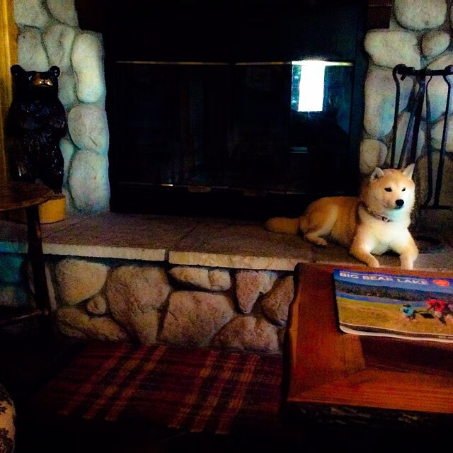 桑巴与红蓝的哲学碰撞，奥利维耶以血肉之躯，刺破战术的完美圆环